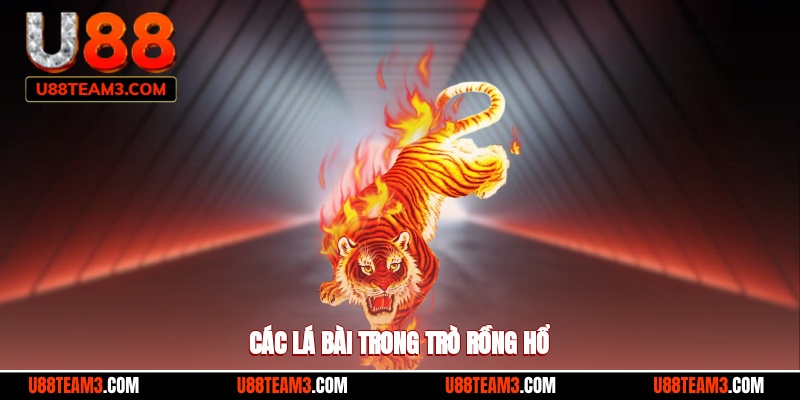 Các lá bài trong trò rồng hổ